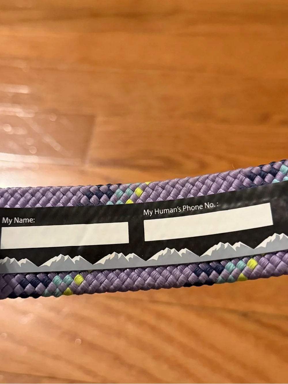 Purple Arcadia Trail Dog Collar - X Large (New)